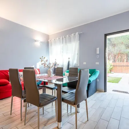 Ibiscus Rosa 2 * Marongiu