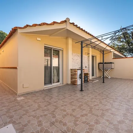 Ibiscus Rosa 2 * Marongiu