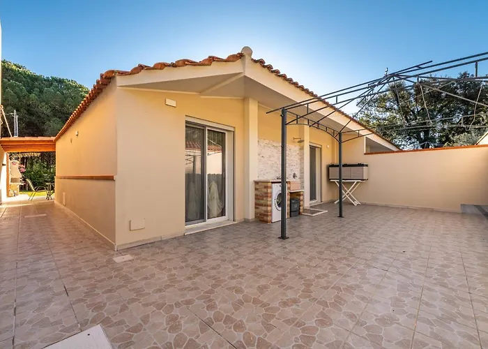 Ibiscus Rosa 2 * Marongiu